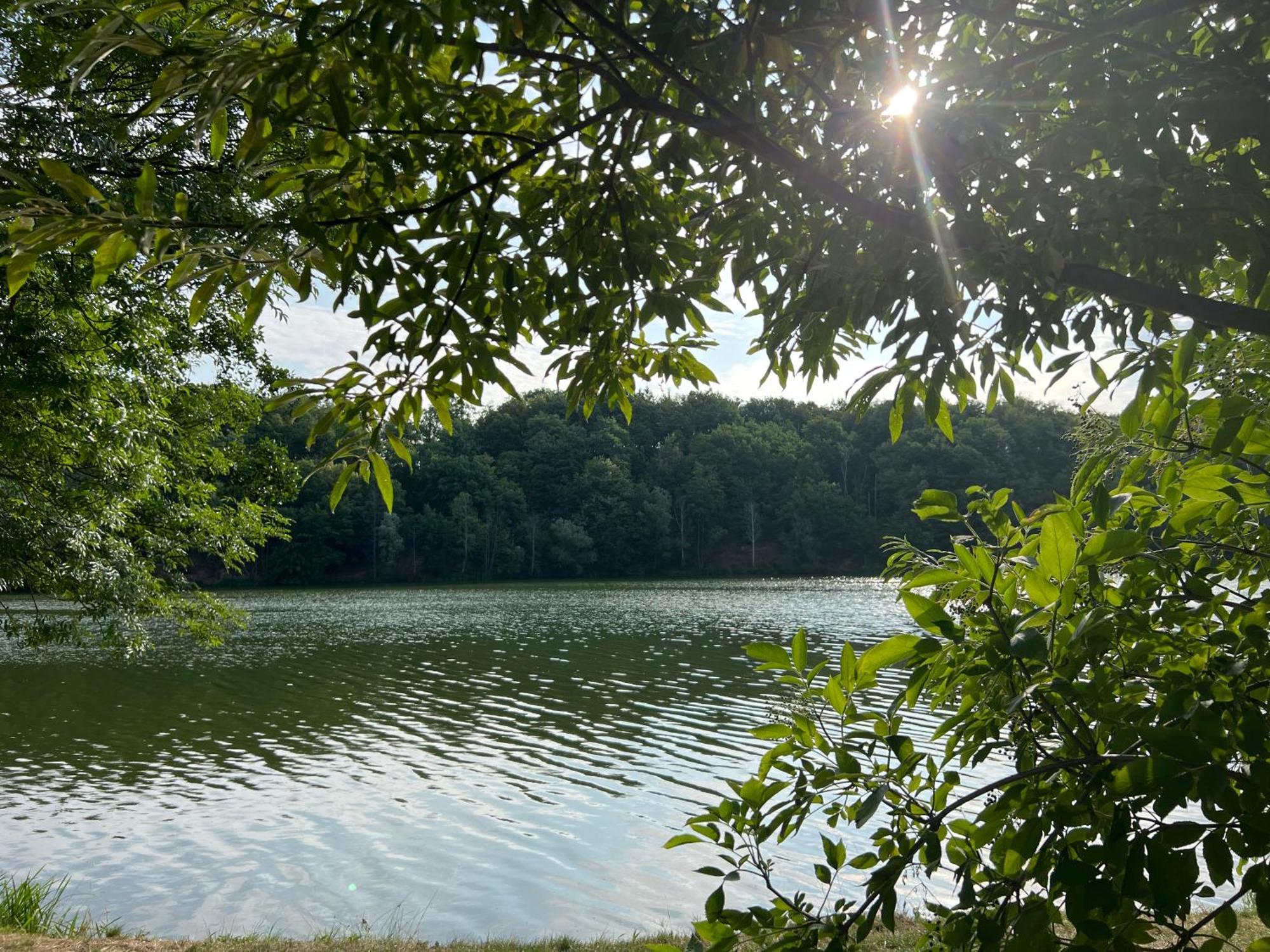 Ferienwohnungen Brenner Einchecken Und Wohlfuehlen Langenbernsdorf Екстер'єр фото